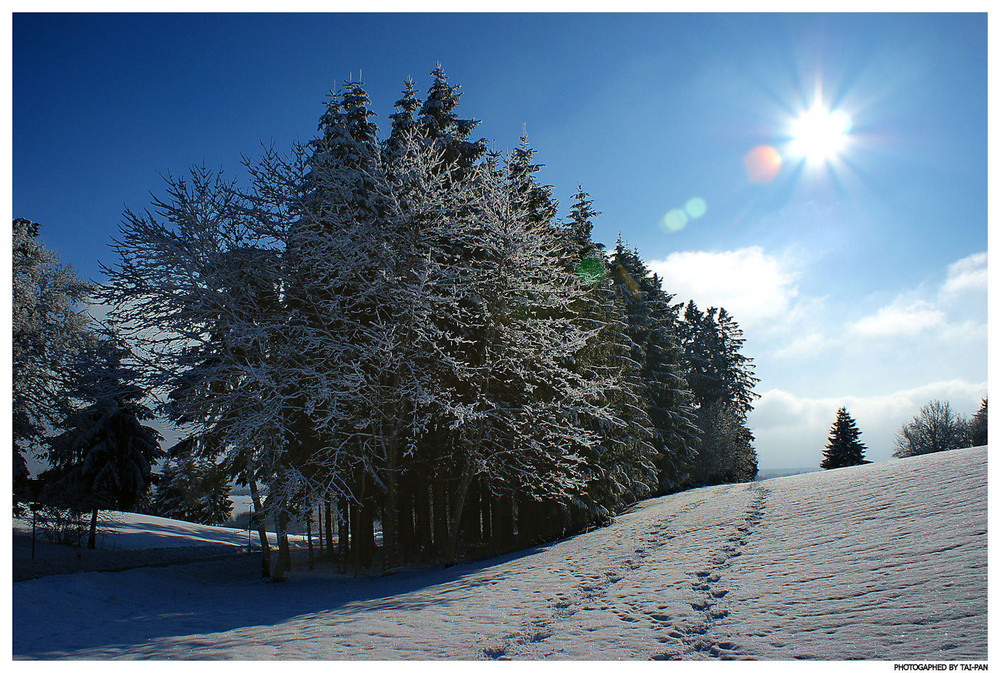 Ist der Winter nicht einfach traumhaft ?!?