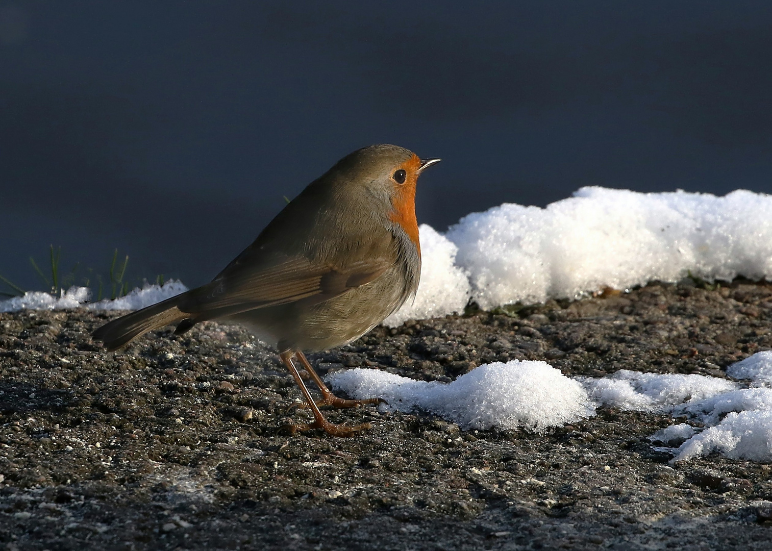 Ist der Winter nun vorbei ?