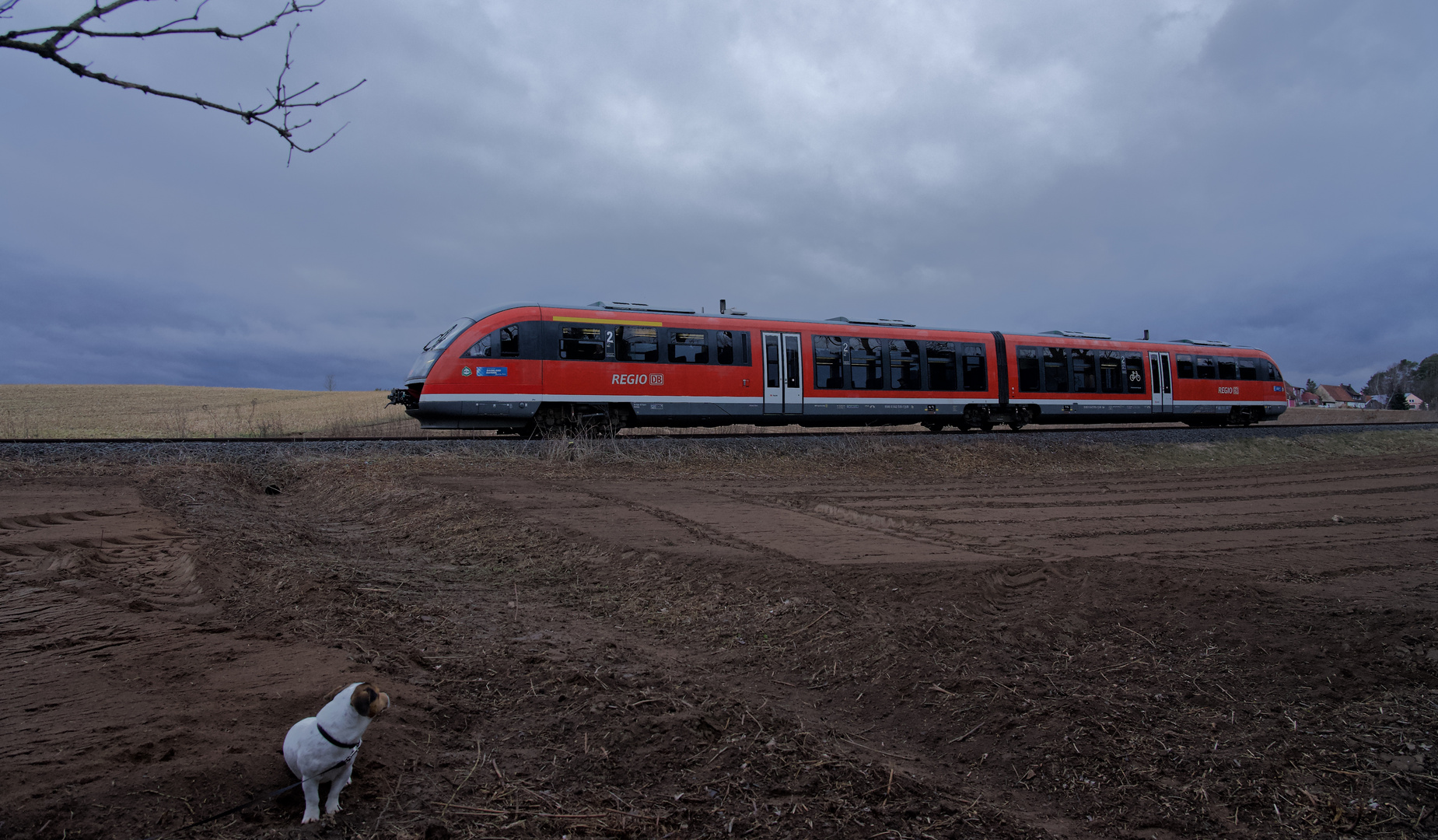 Ist des Menschen bester Freund der bessere Trainspotter?