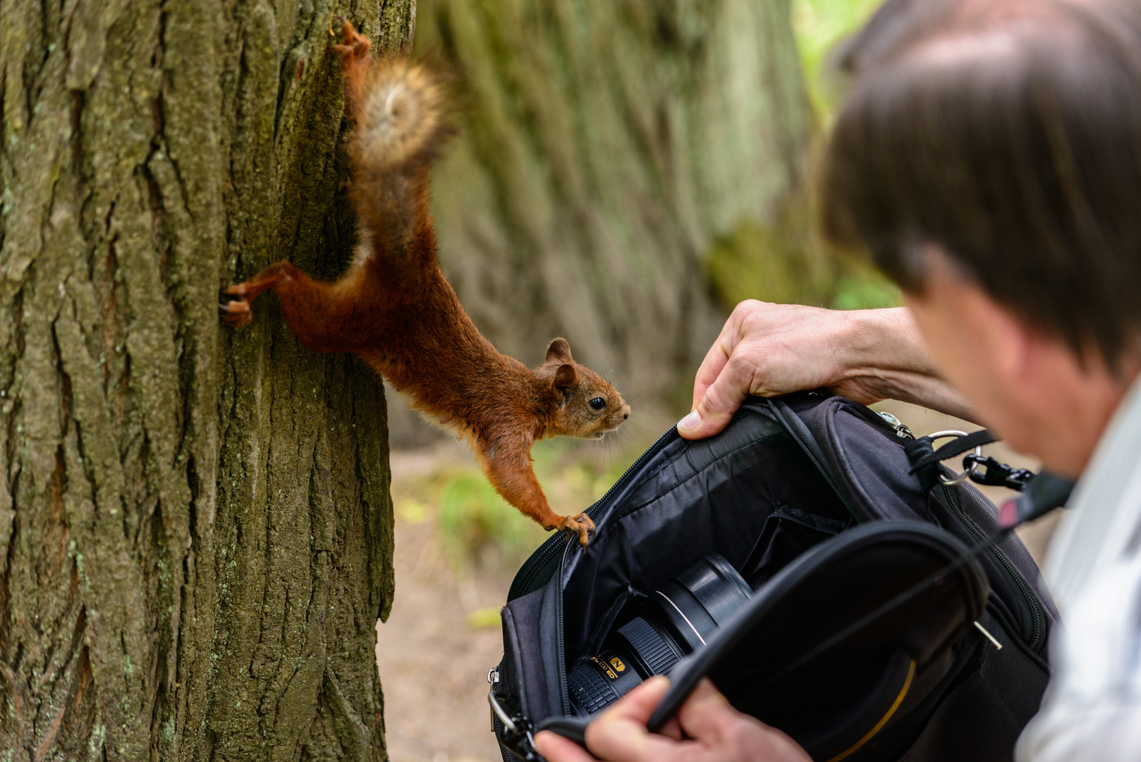 ist die Fotoausrüstung auch vollständig? 