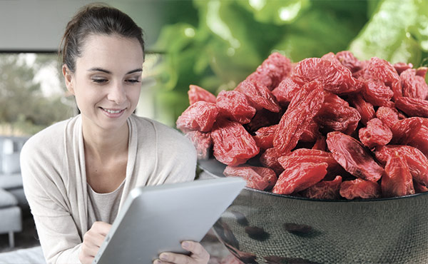 Ist die Goji-Beere tatsächlich so gesund