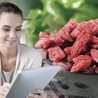 Ist die Goji-Beere tatsächlich so gesund