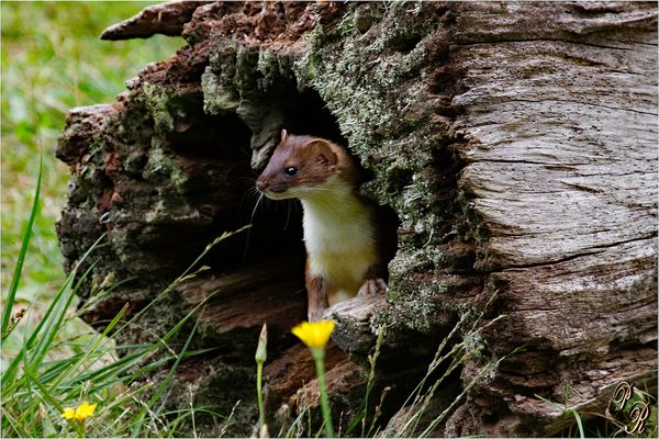 .... ist die Luft rein....???