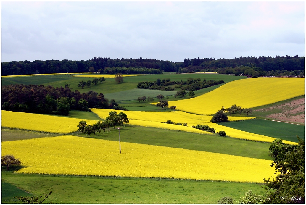 Ist die Natur in dieser Jahreszeit nicht bunt  !