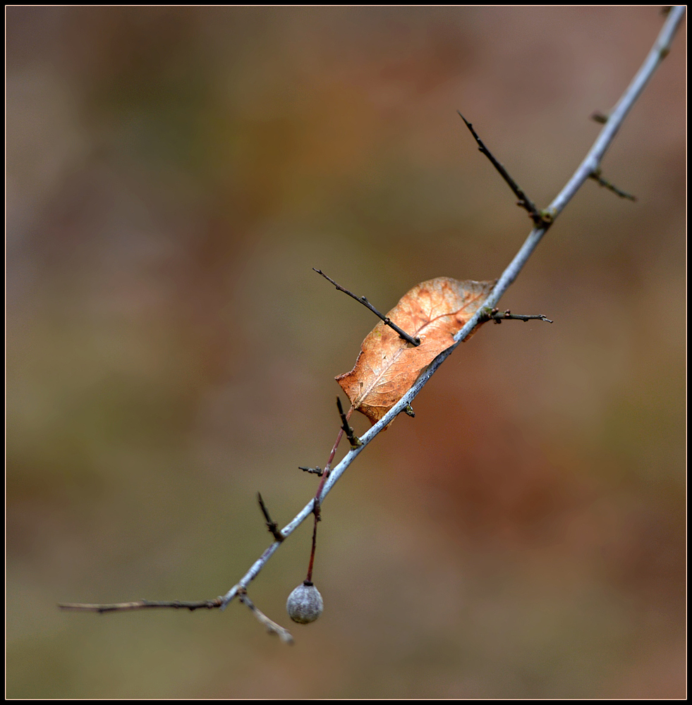 Ist die Natur womöglich auch "gewalttätig".....?