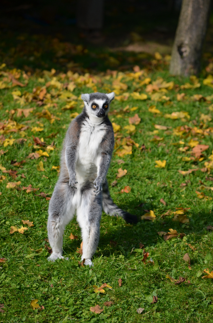 Ist die POSE richtig ???