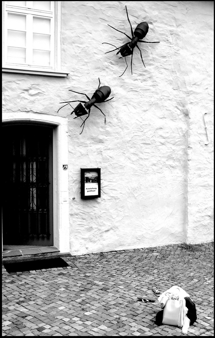 Ist dies die Geschichte einer glücklichen Flucht..?