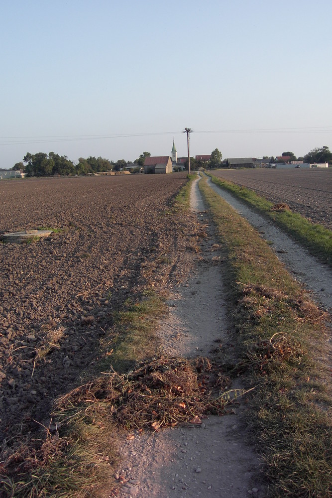 ist doch dieser blöde Weg im weg..