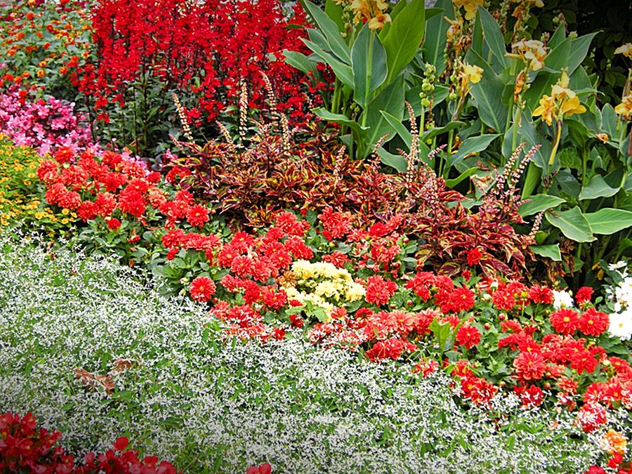 Ist doch immer eine Freude so einen schönen Garten zu betrachten.