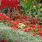 Ist doch immer eine Freude so einen schönen Garten zu betrachten.