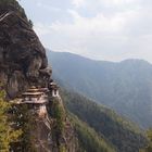 Ist einer bekümmert, und sucht er den Tempel auf – so wird ihm meist auf dem Weg schon Trost zuteil.