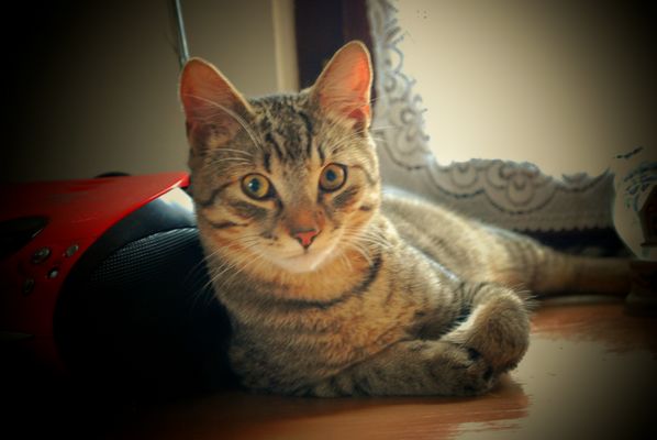 Ist er nicht fotogen?