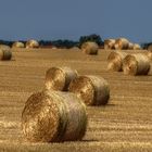 Ist erst das Stroh gerollt, wird es bald Herbst