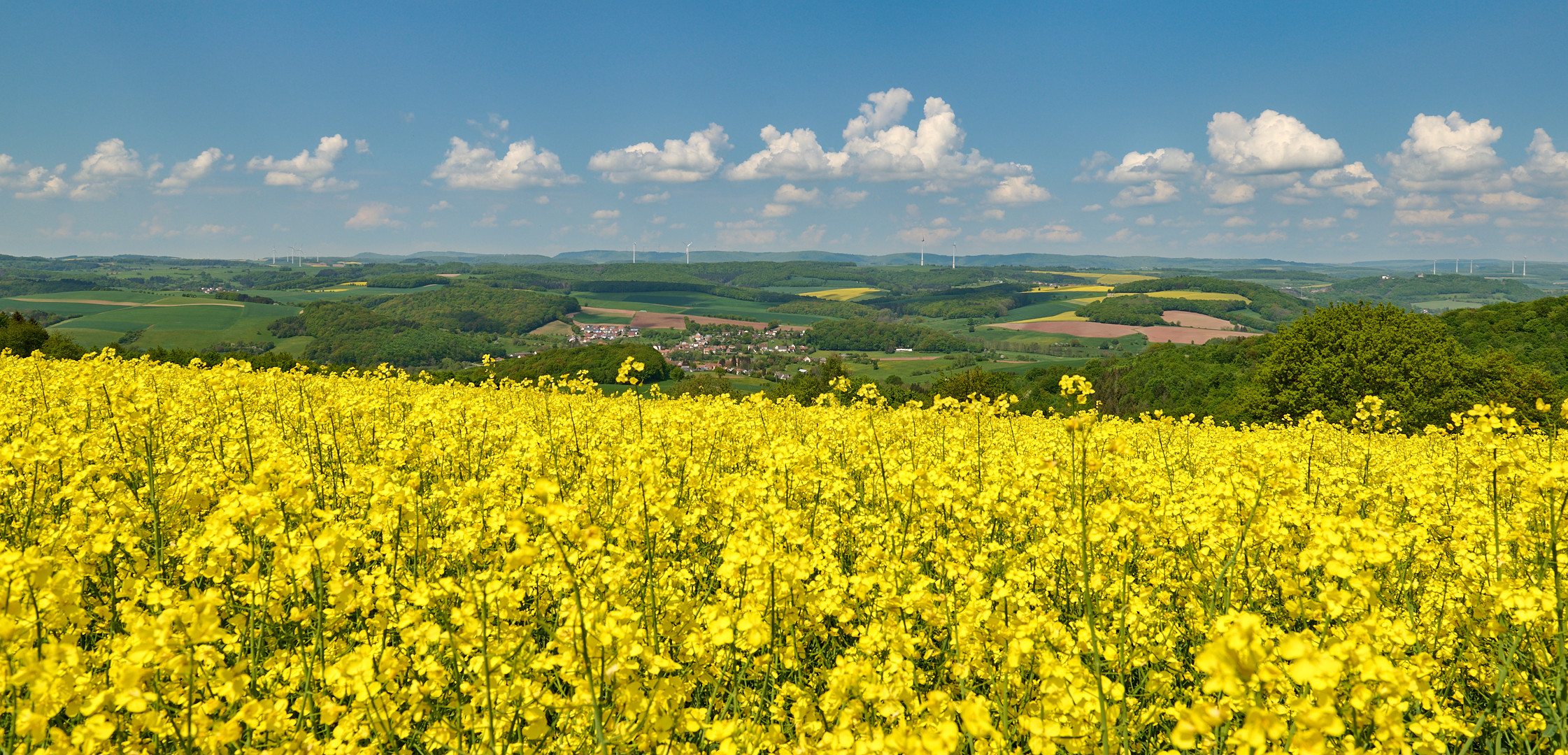 Ist es nicht schön bei uns... :-) Unterwegs auf dem Springer Berg, mit Blick ins Pfälzer...