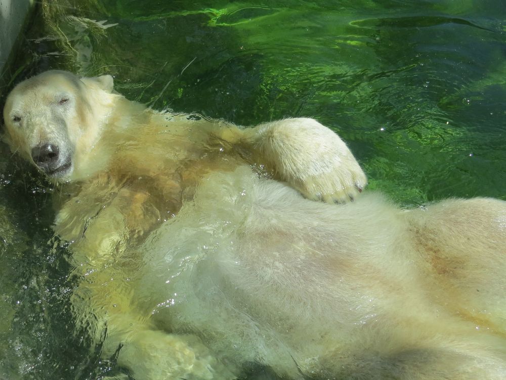 ist es nicht schön hier? ganz allein im Wasser