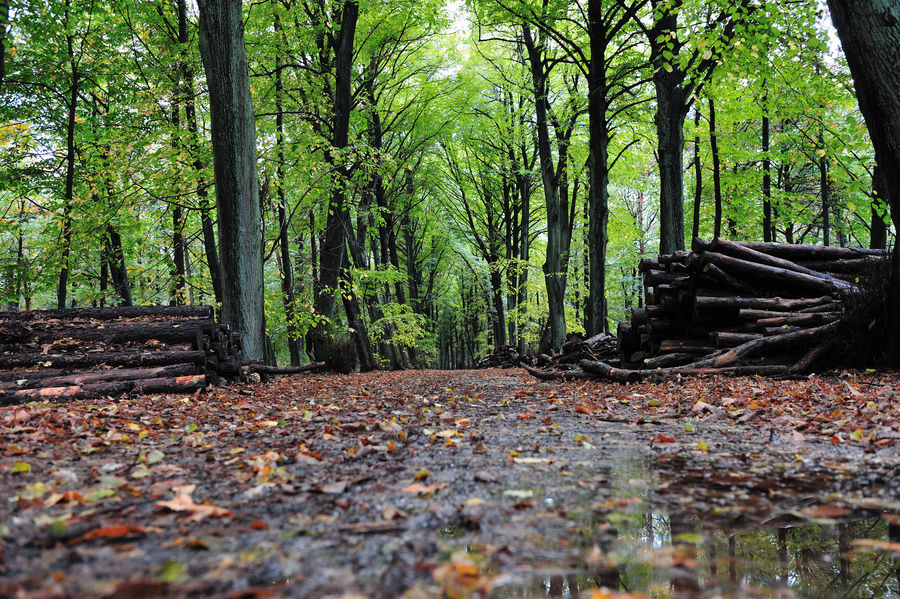 Ist es schon wirklich Herbst?