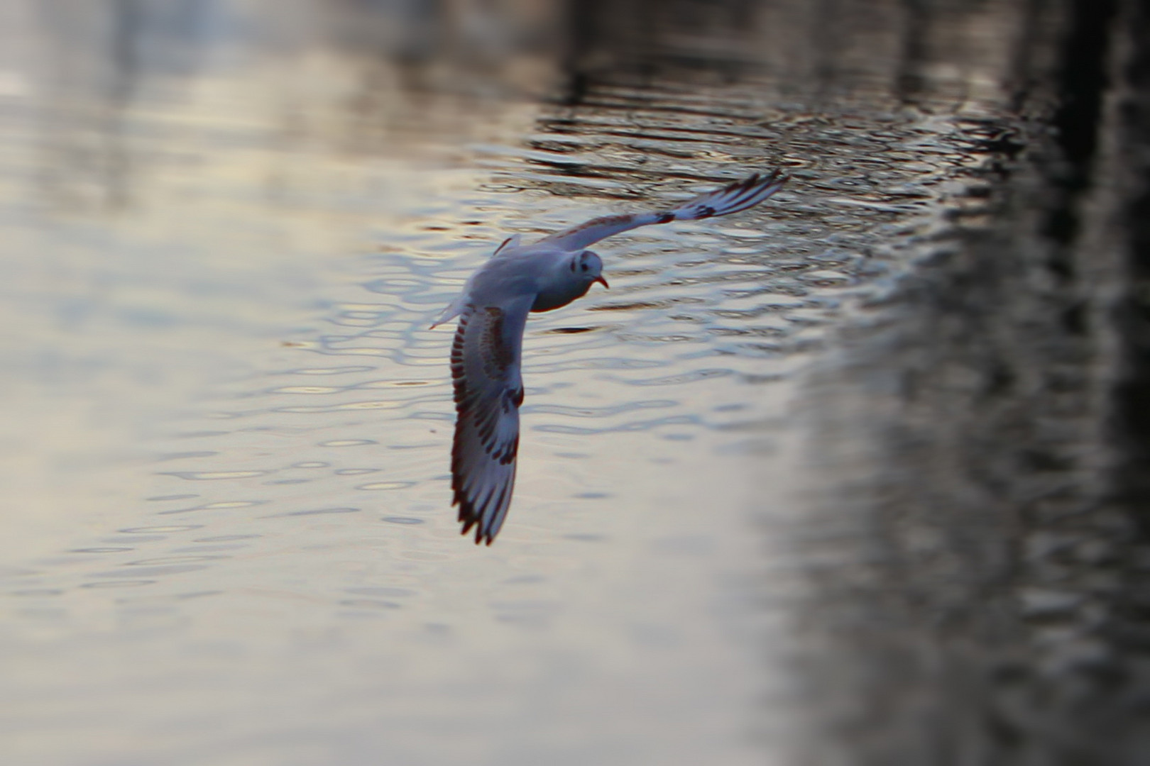 Ist fliegen doch schön