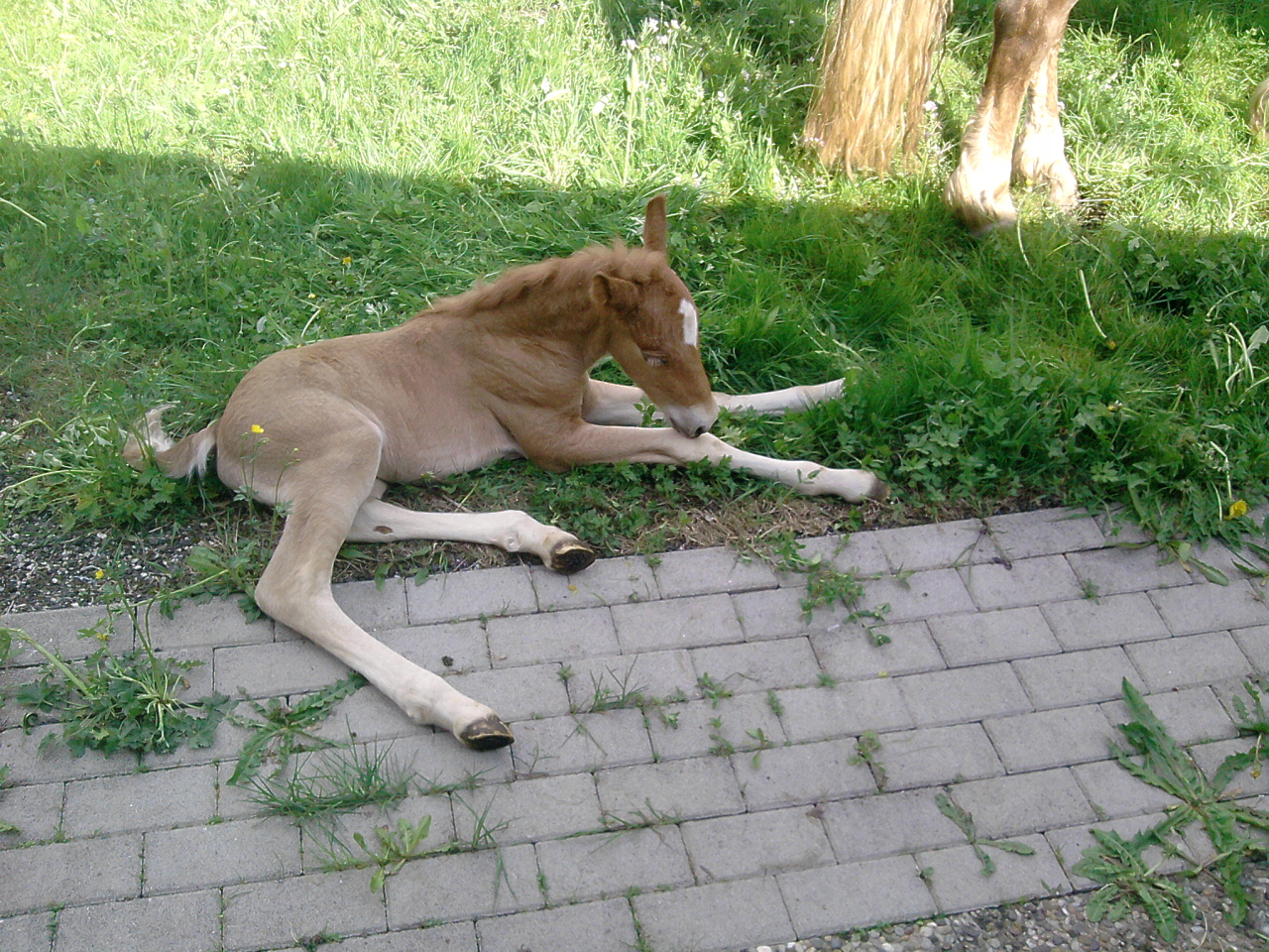 ist ganz schön anstrengend