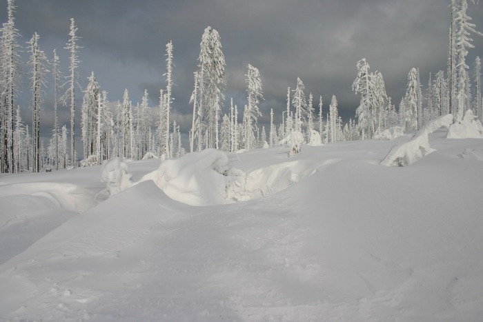 ist halt immer noch Winter