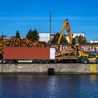 Ist Holz eine Lösung in der Energiekrise???