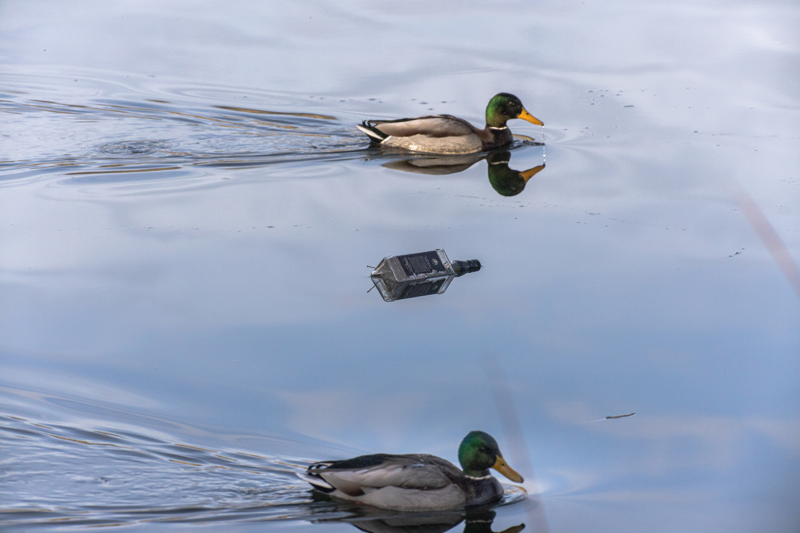 Ist ja bloss ne Glas-Flasche!