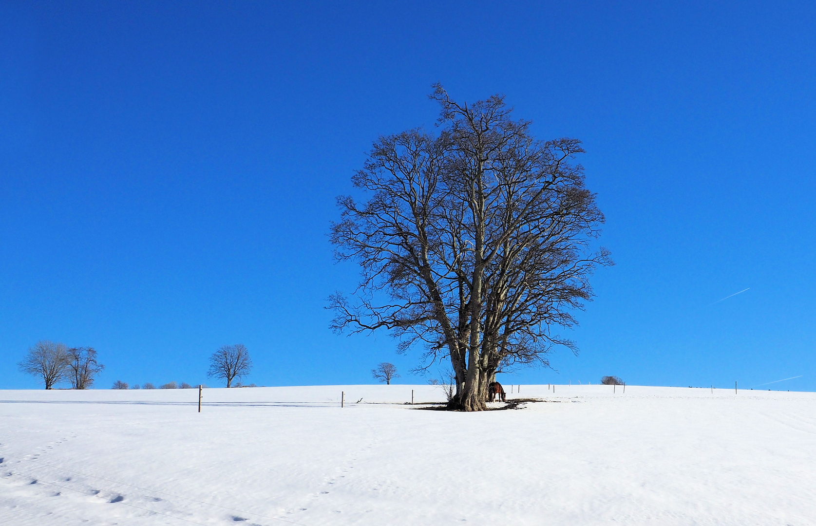 Ist ja noch Winter :) ...