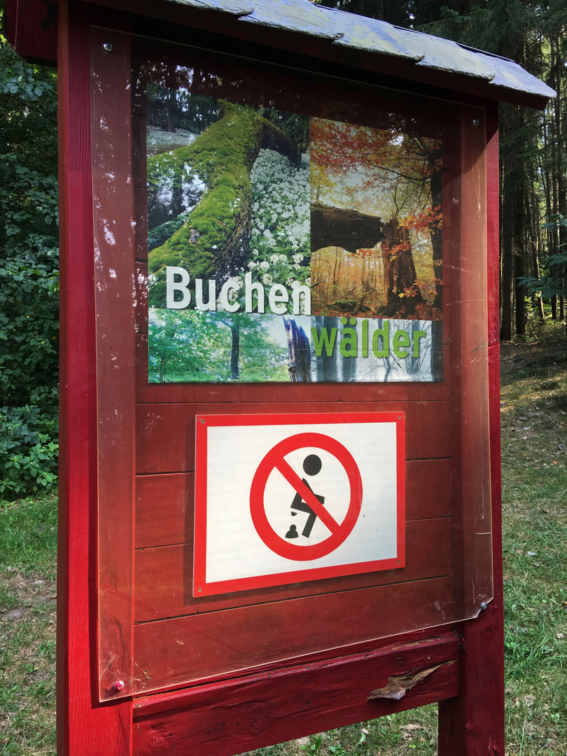 Ist Kackverbot im Buchenwald