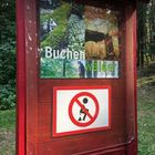 Ist Kackverbot im Buchenwald