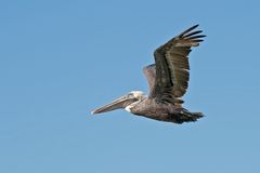 ist mal wieder ein Super Flugwetter heute ...