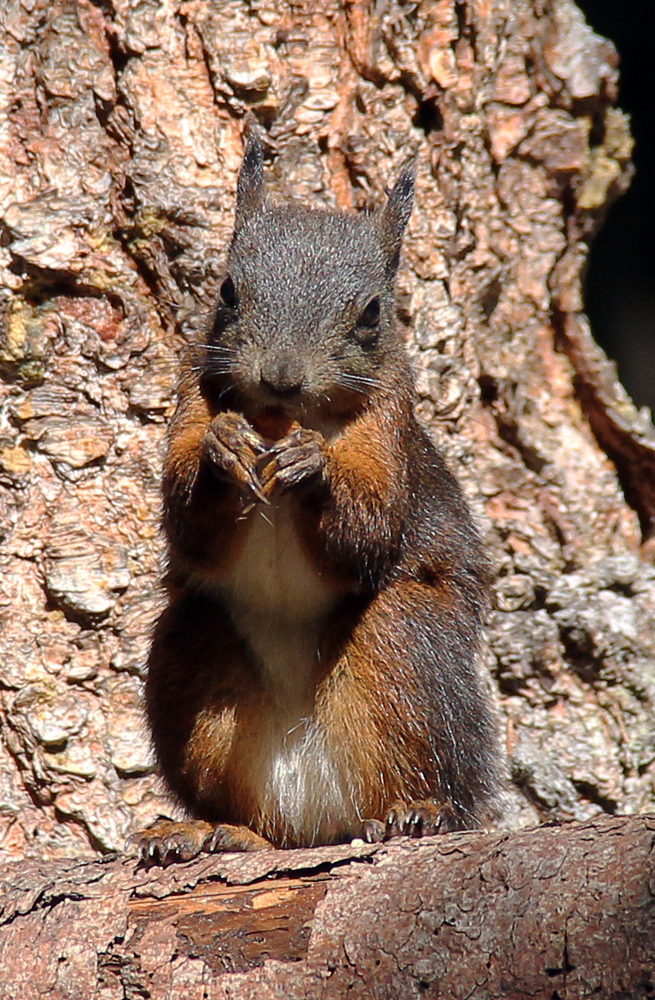 "Ist mein Posing nicht toll??"