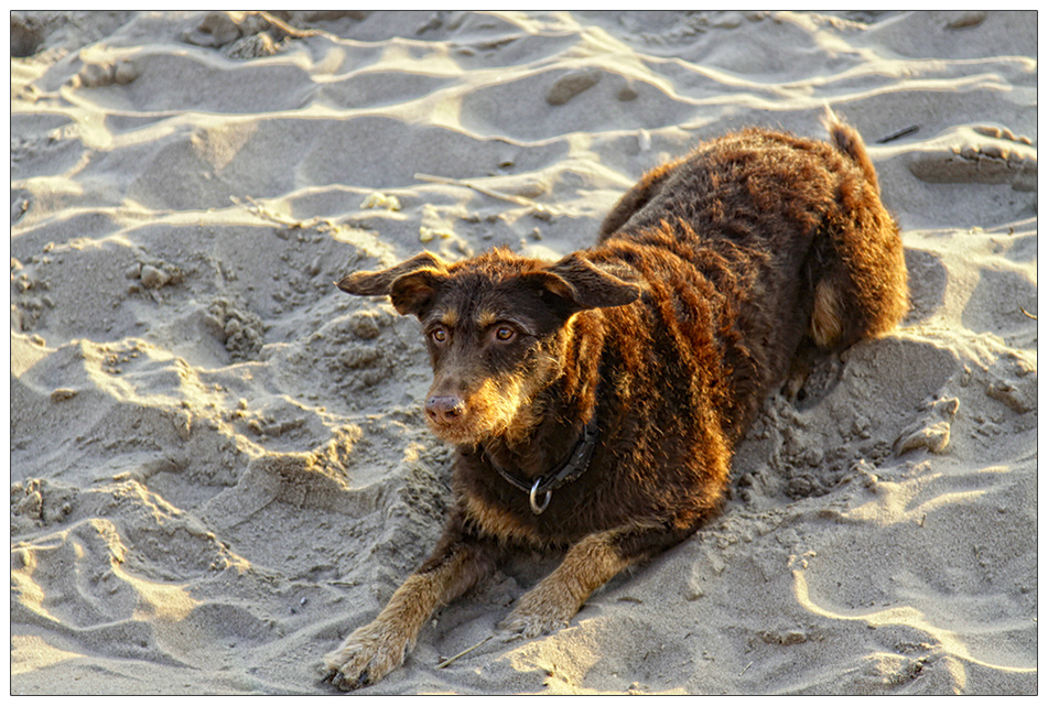 ist ne strandbekanntschaft von mir....