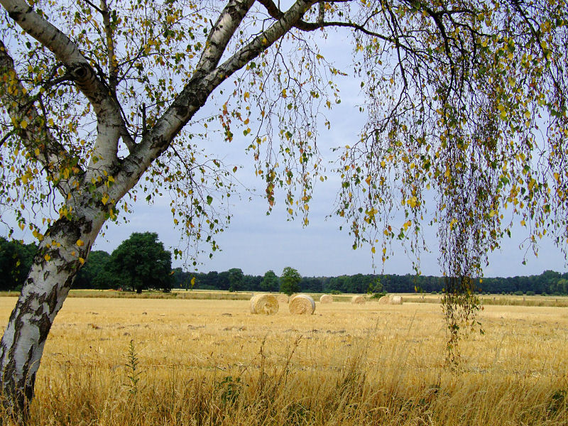 Ist noch Sommer oder herbstelt es schon?