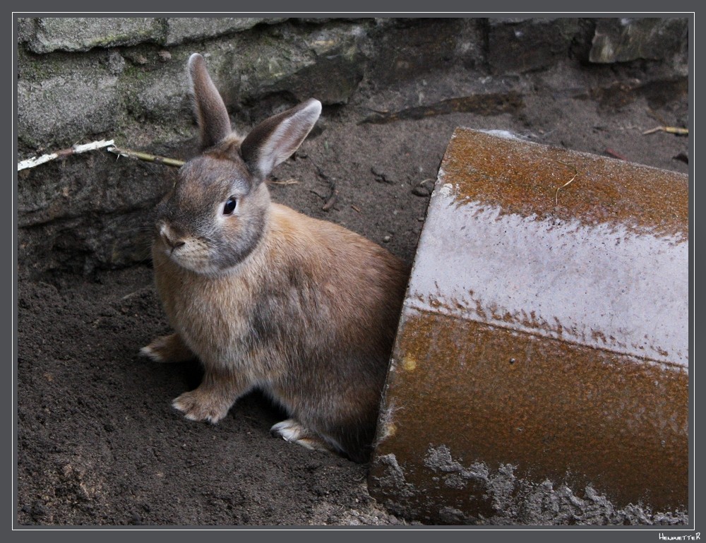 Ist Ostern wirklich schon vorbei?