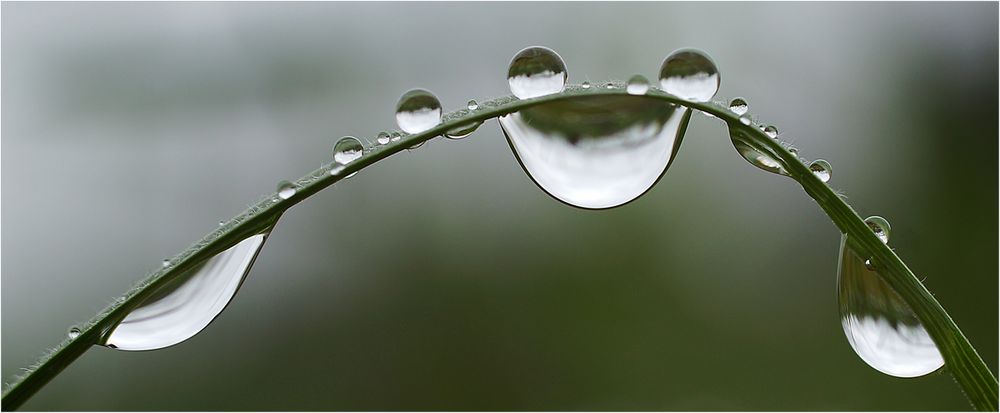 Ist Regen im Frühling denn nicht auch gut und schön ?