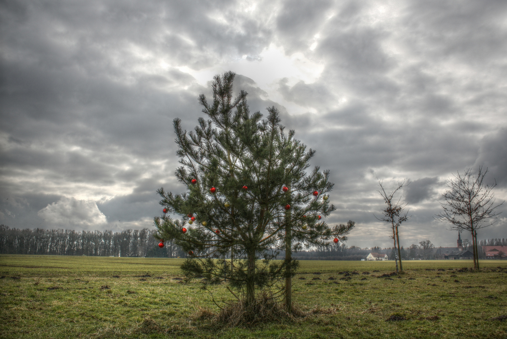 Ist Schon wieder Weihnachten ?`