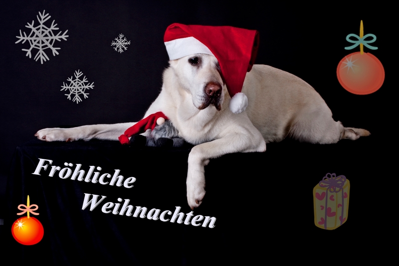 ist schon wieder Weihnachten ?