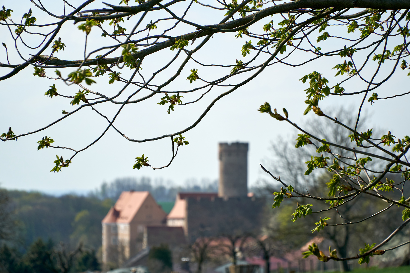 Ist so das Dornröschenschloss entstanden`?