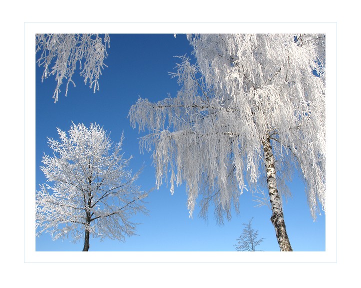 ist wie gemalt in blau und weiss