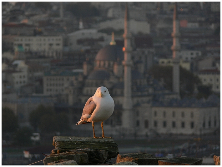 Istanbul am Morgen 1