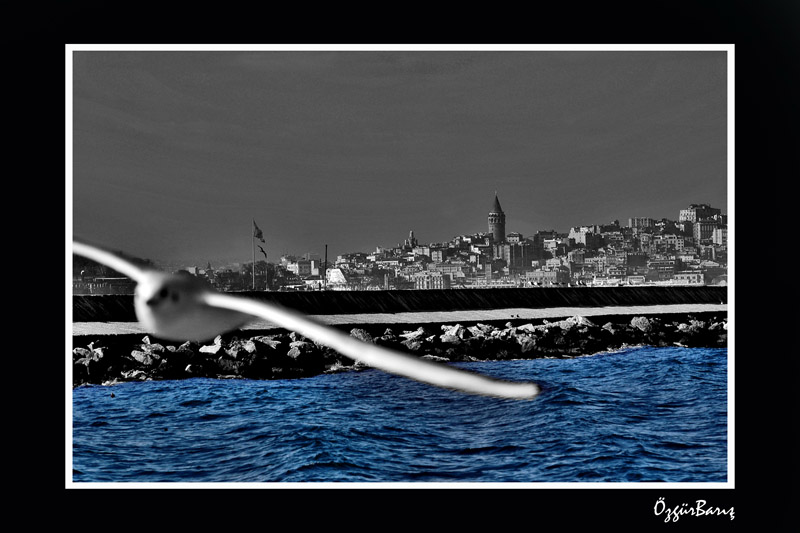 Istanbul Beneath My Wings