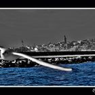 Istanbul Beneath My Wings