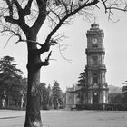 Istanbul Dolmabahce 1967