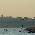 Istanbul evening