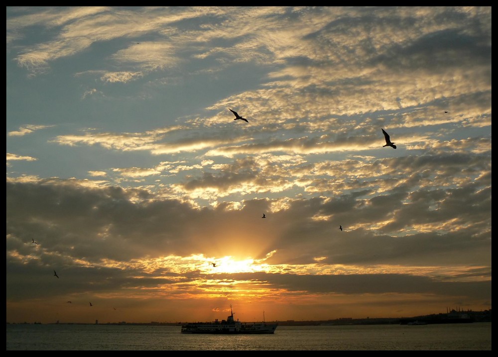 Istanbul Evening *