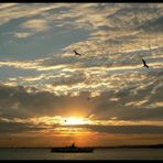 Istanbul Evening *