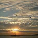 Istanbul Evening II