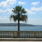 istanbul from dolmabahçe palace's window
