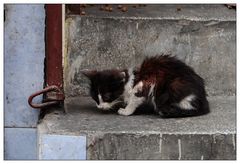 Istanbul, Mai 2013 (39)