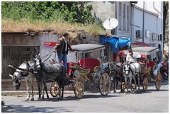 Istanbul, Mai 2013 (52)