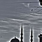 Istanbul- Mosche